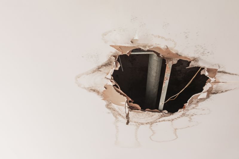 Ceiling Repair Service in Conroe, TX