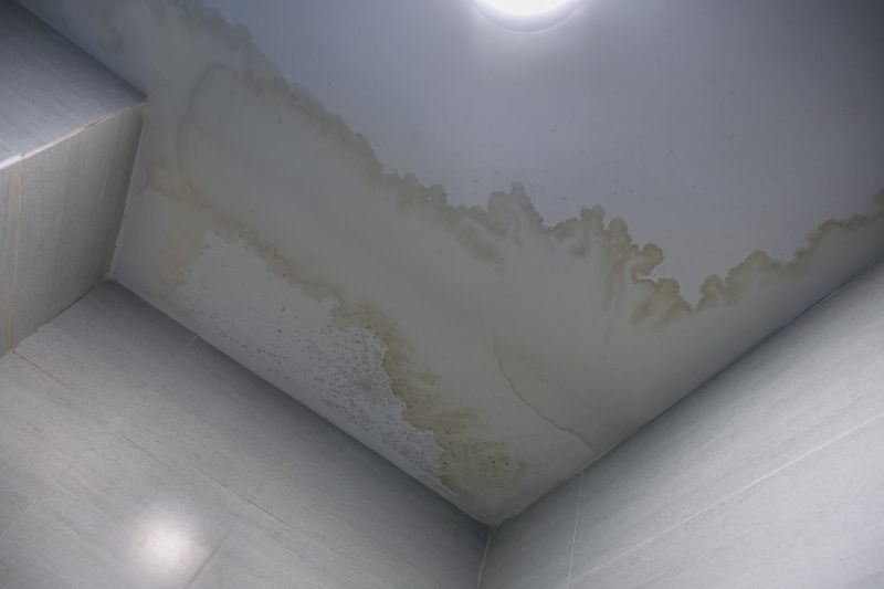 Ceiling Repair Service in Alpharetta, GA