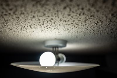 Ceiling Texture Removal in Waco, TX